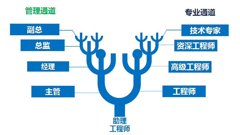 职业发展通道双通道图片